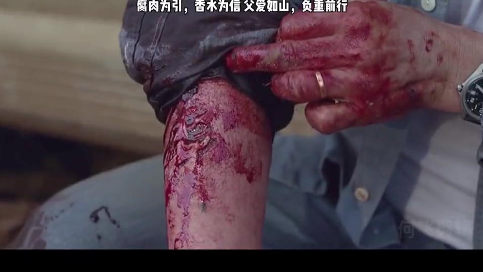 腐肉为引,香水为信,背上的你是我全部动力