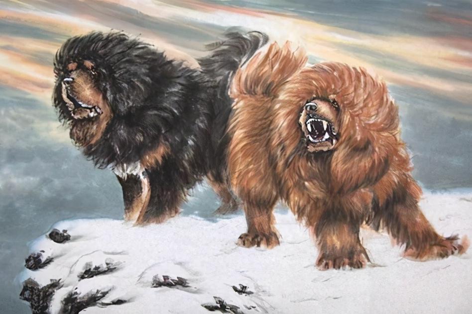 哪几个月出生的生肖狗，最“好命”：事业运佳，财运好呢？