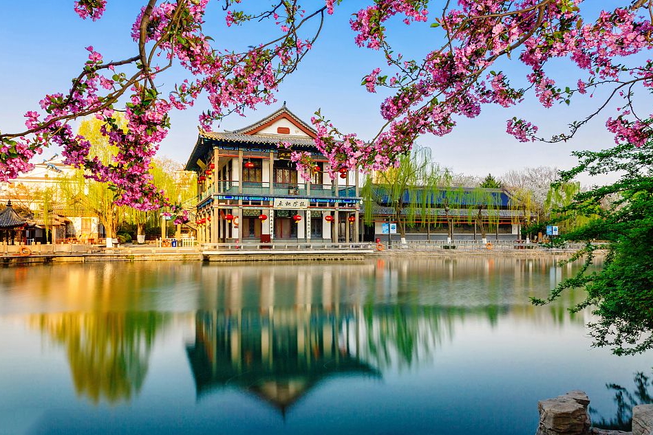 春游踏青丨这才是济南春天正确的打开方式|济南市|方特|五龙潭|樱花|孟姜女_新浪新闻