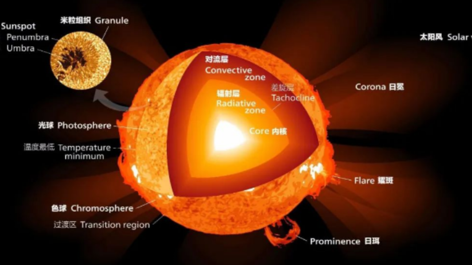 03:17 太阳的内部首次公开,结构和洋葱相似,人类离恒星的秘密更近了