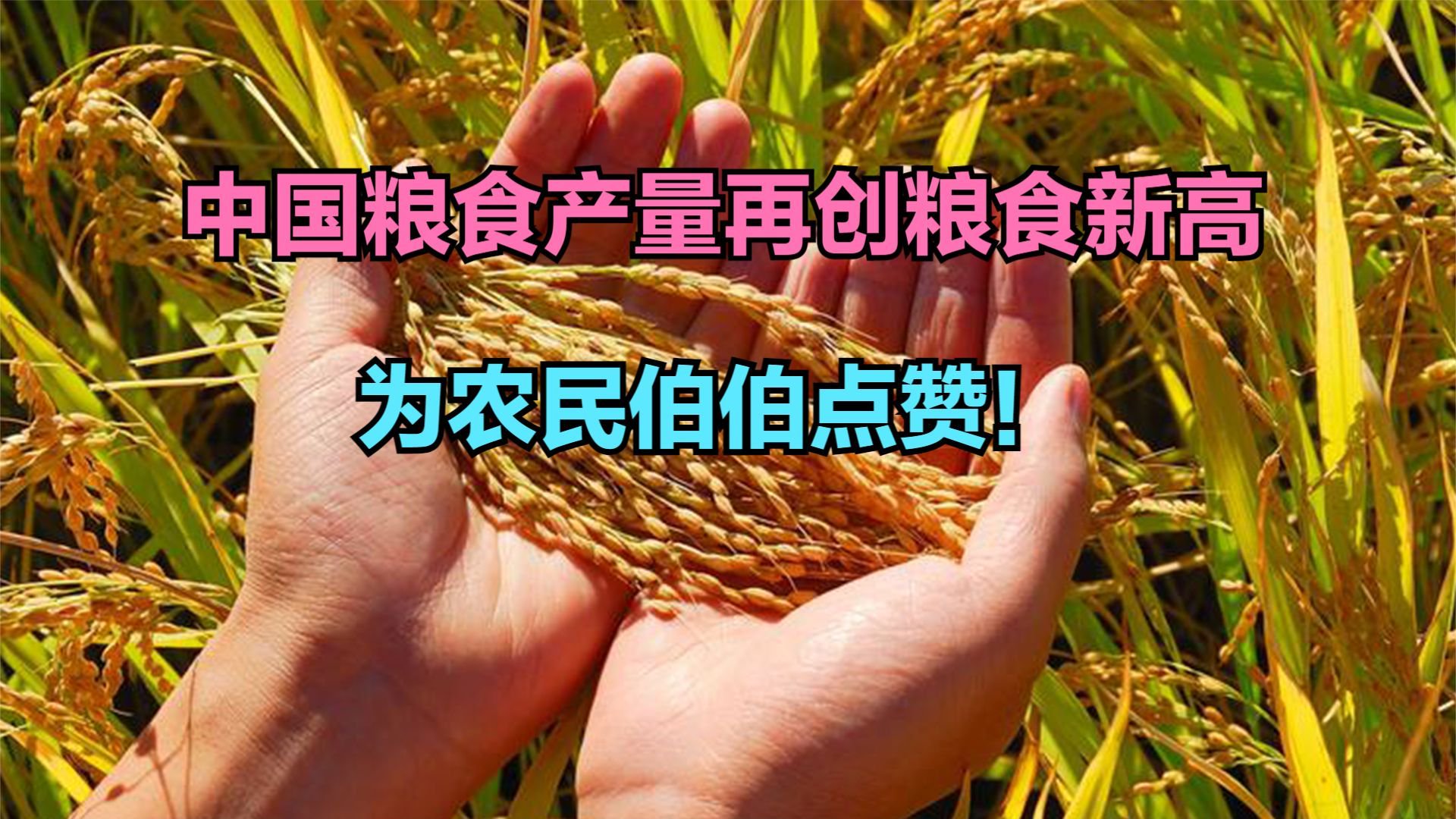 我国粮食产量再创历史新高!回顾1949-2023中国粮食产量变化|国家统计局|数据|粮食总产量|全国_新浪新闻