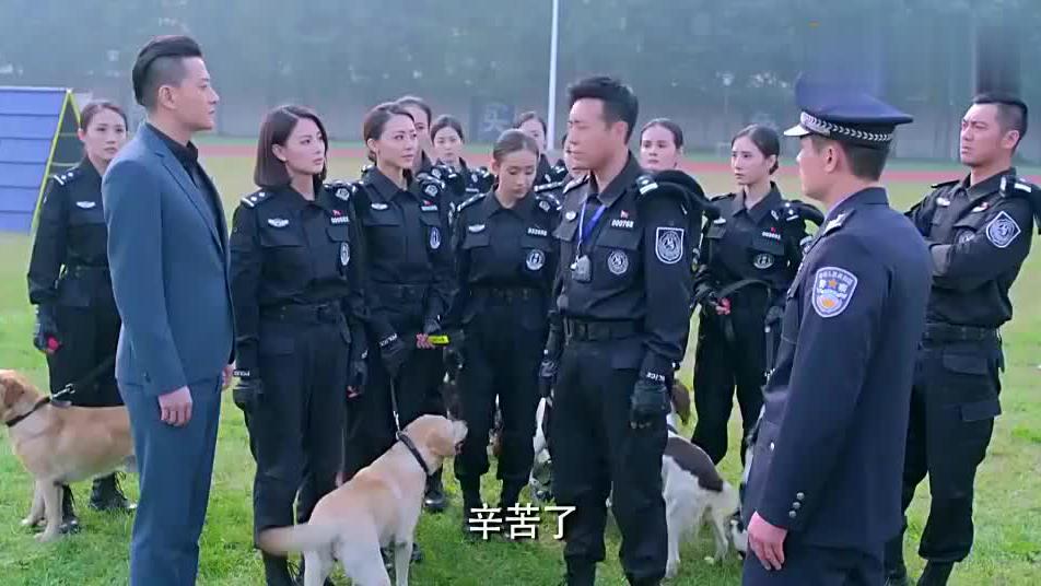 杜飞出人预料,竟然选择让大饼去执行任务,樱桃都吃醋了