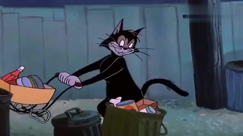 猫和老鼠:流浪猫生活也要过得精致,捡垃圾要捡出仪式感!