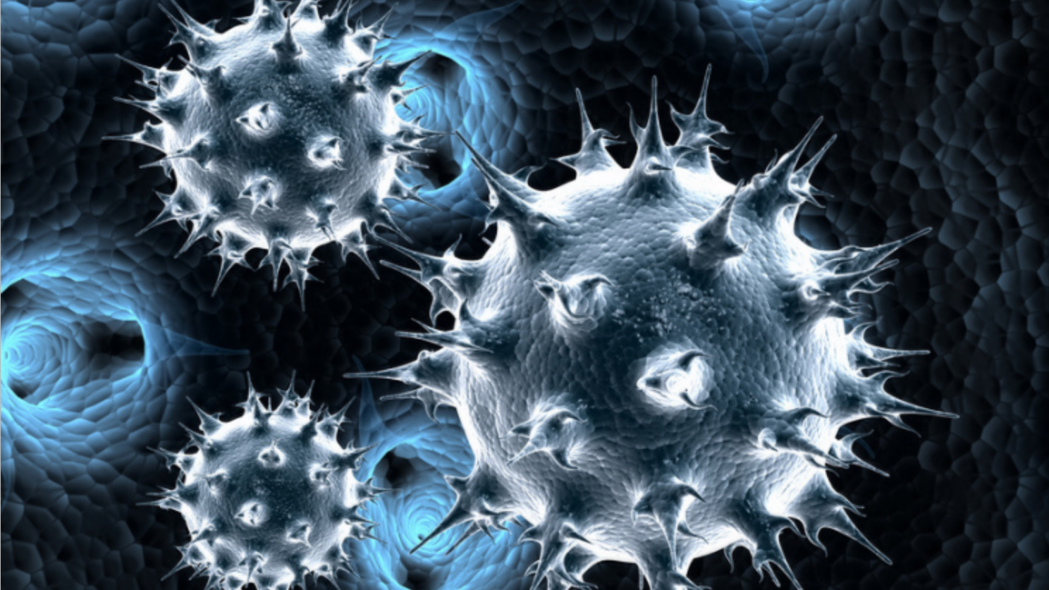 病毒是生物吗?地球上有多少种病毒?科学家的答案让人沉默