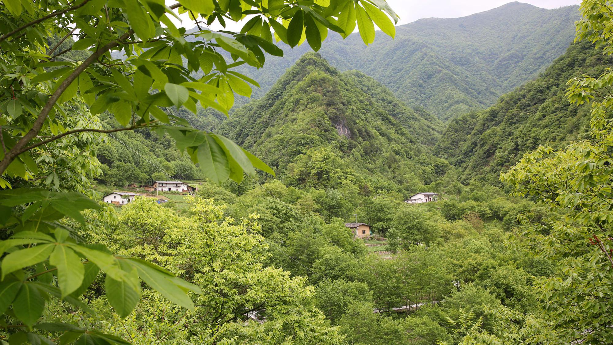 实拍陕南大山里的村庄:山高林密,家家都在仙境里,生活自给自足