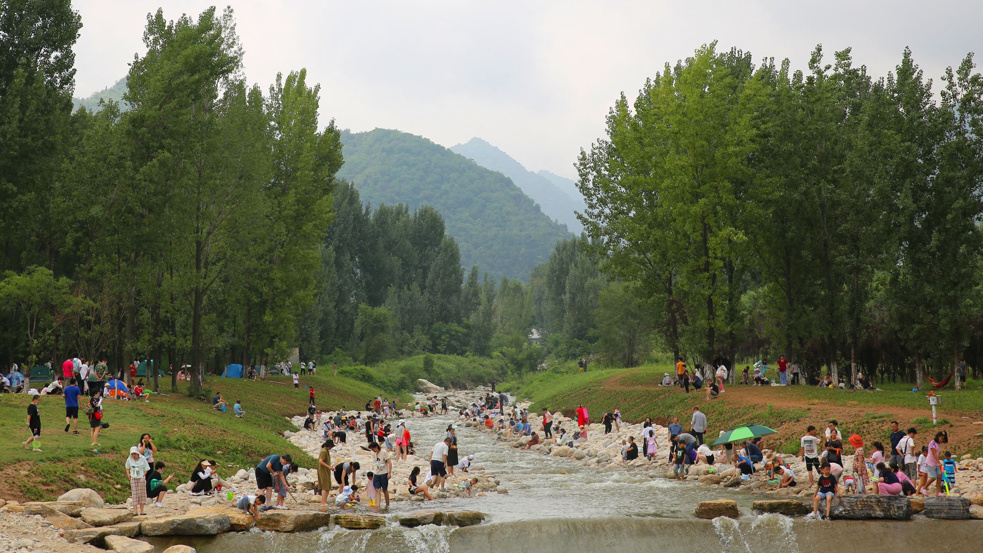 西安长安区太乙驿:遛娃戏水听蝉鸣,西安人的周末乐园