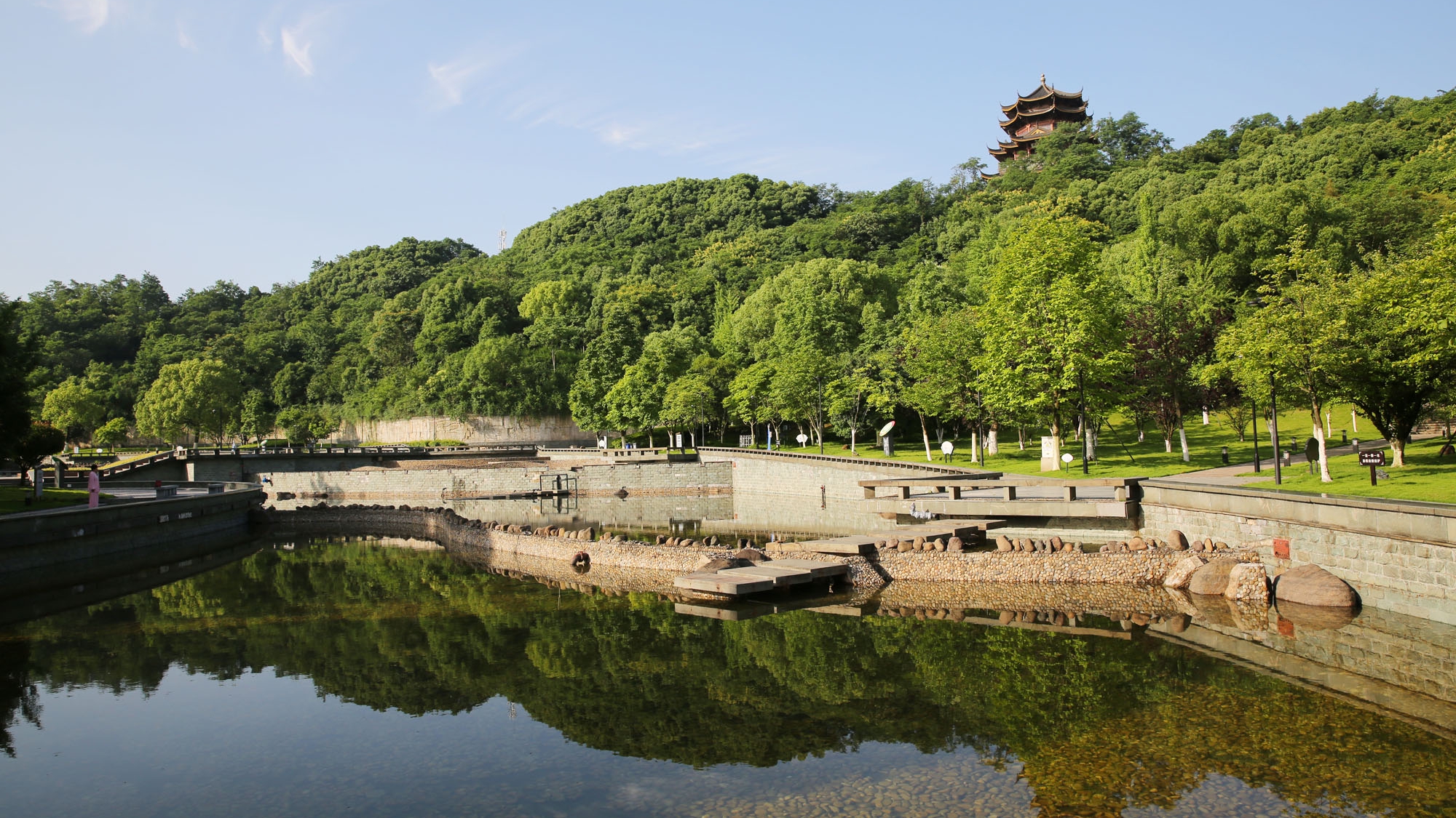 实拍浙江诸暨城市广场:树高林密,空气清新,市民健身乐园