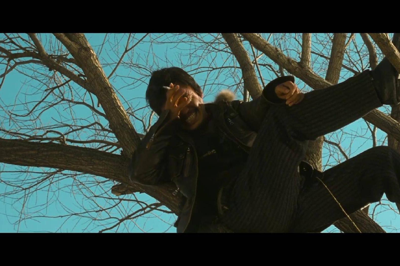 让别人决定你的命运，那不可悲吗？——《Hello! 树先生》|Hello! 树先生|影片|阿Q_新浪新闻