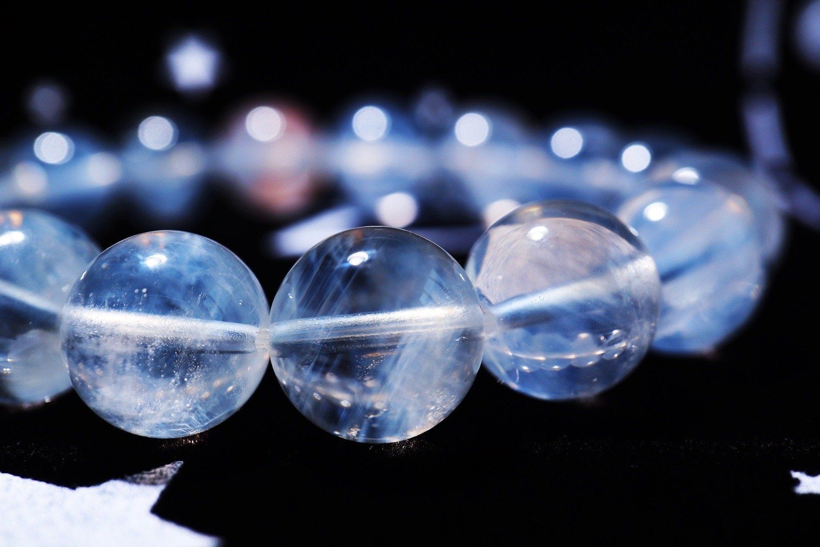 多肉的习性是什么？