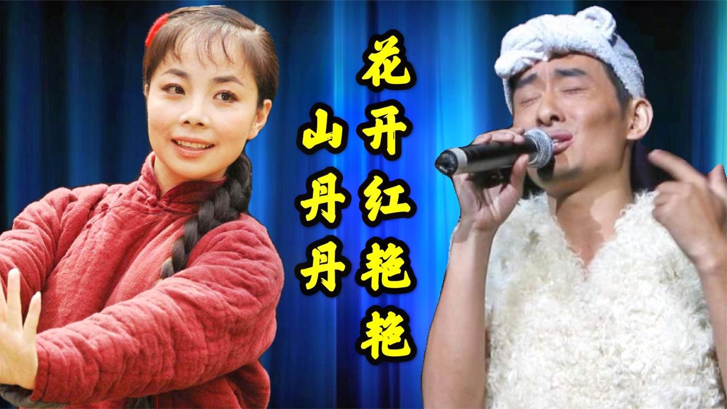 王二妮阿宝再唱《山丹丹花开红艳艳》 ,地道的嗓音太好听,绝了