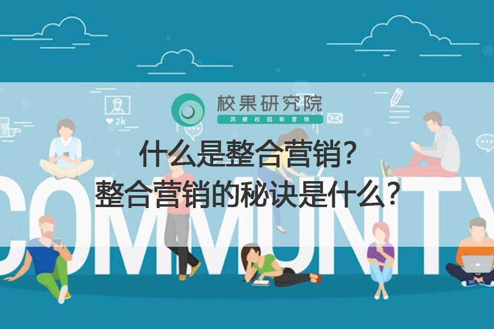 专业性seo优化案例