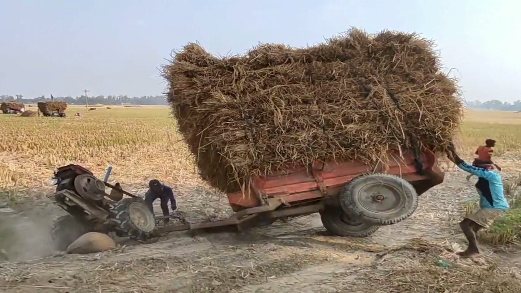 印度小伙自称拖拉机大神一次拉千斤货惨遭翻车看完不笑算我输