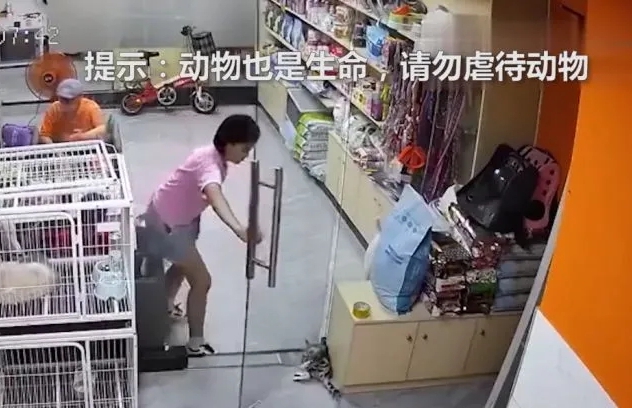 东莞一女孩在宠物店故意推门夹死小猫 店主：已报警休闲区蓝鸢梦想 - Www.slyday.coM