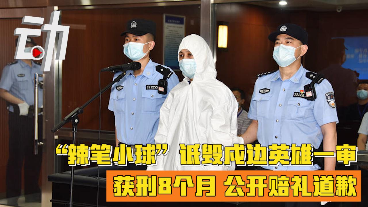 "辣笔小球"诋毁戍边英雄一审获刑8个月:公开赔礼道歉 消除影响