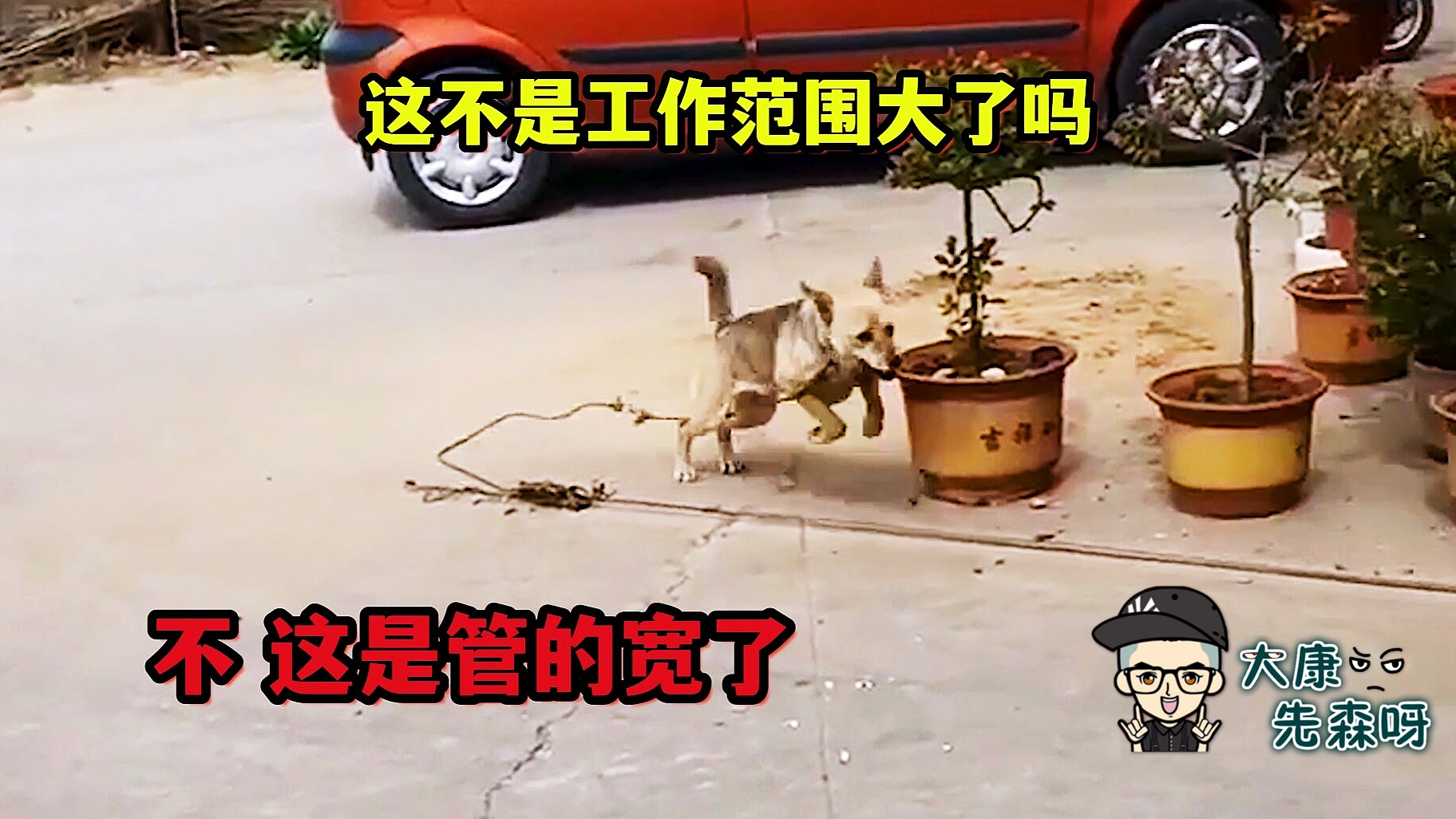 不是工作范围大了是管的宽了这样说高端