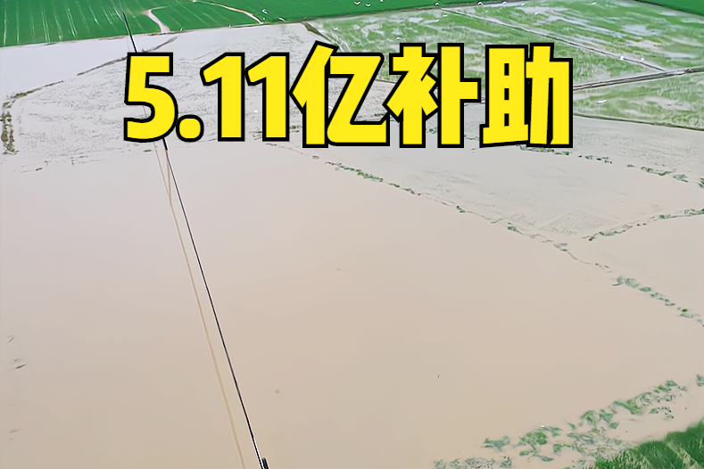 5.11亿资金补助河南,受灾和绝收农田都有,看看每亩补助多少钱?|绝收|受灾|追肥_新浪新闻