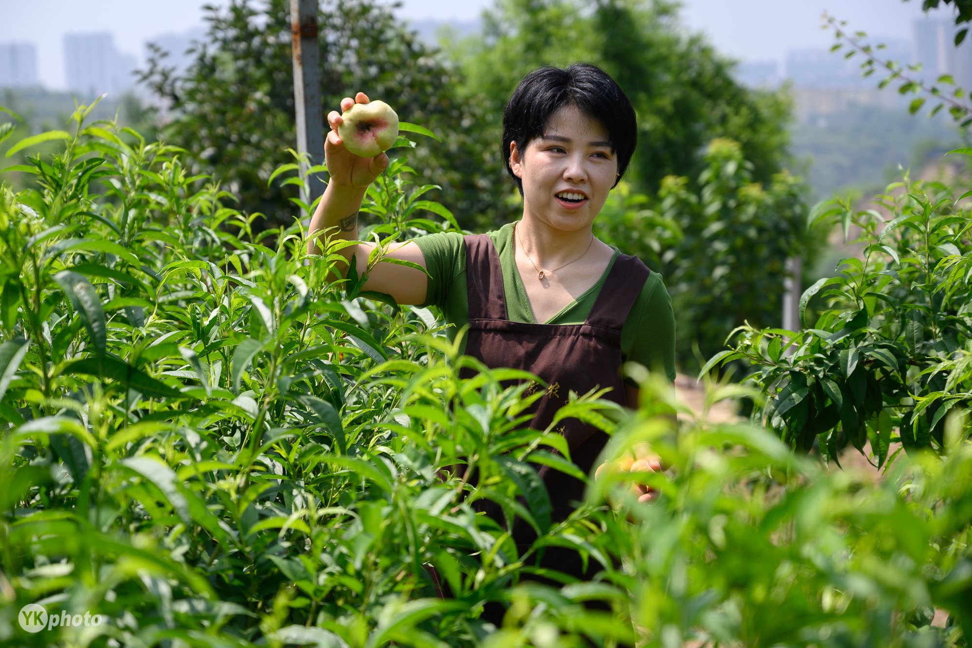 太原"90后"姑娘远离城市赴山村创业:不付出汗水,怎么能成功