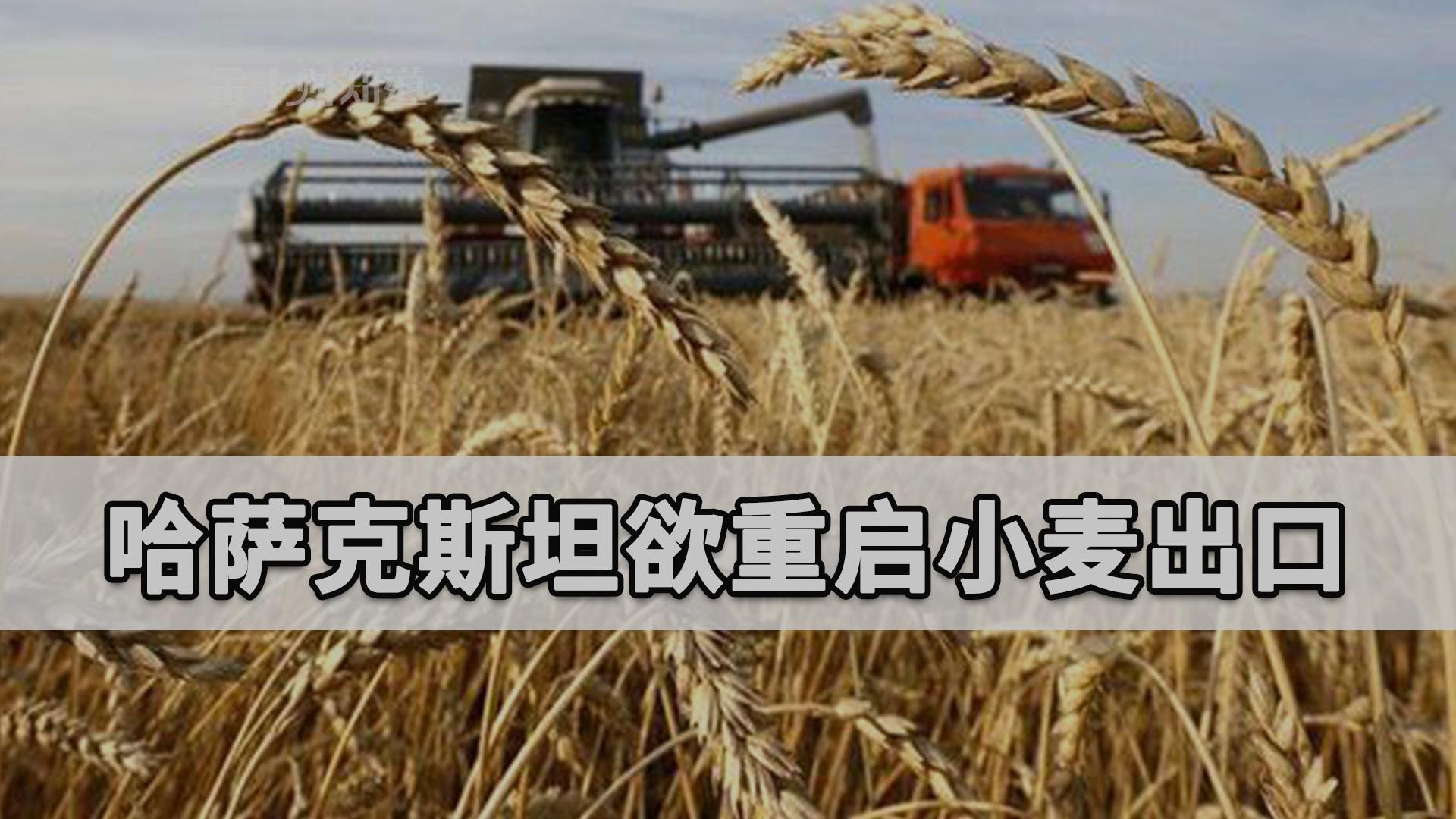 哈萨克斯坦小麦产量图片