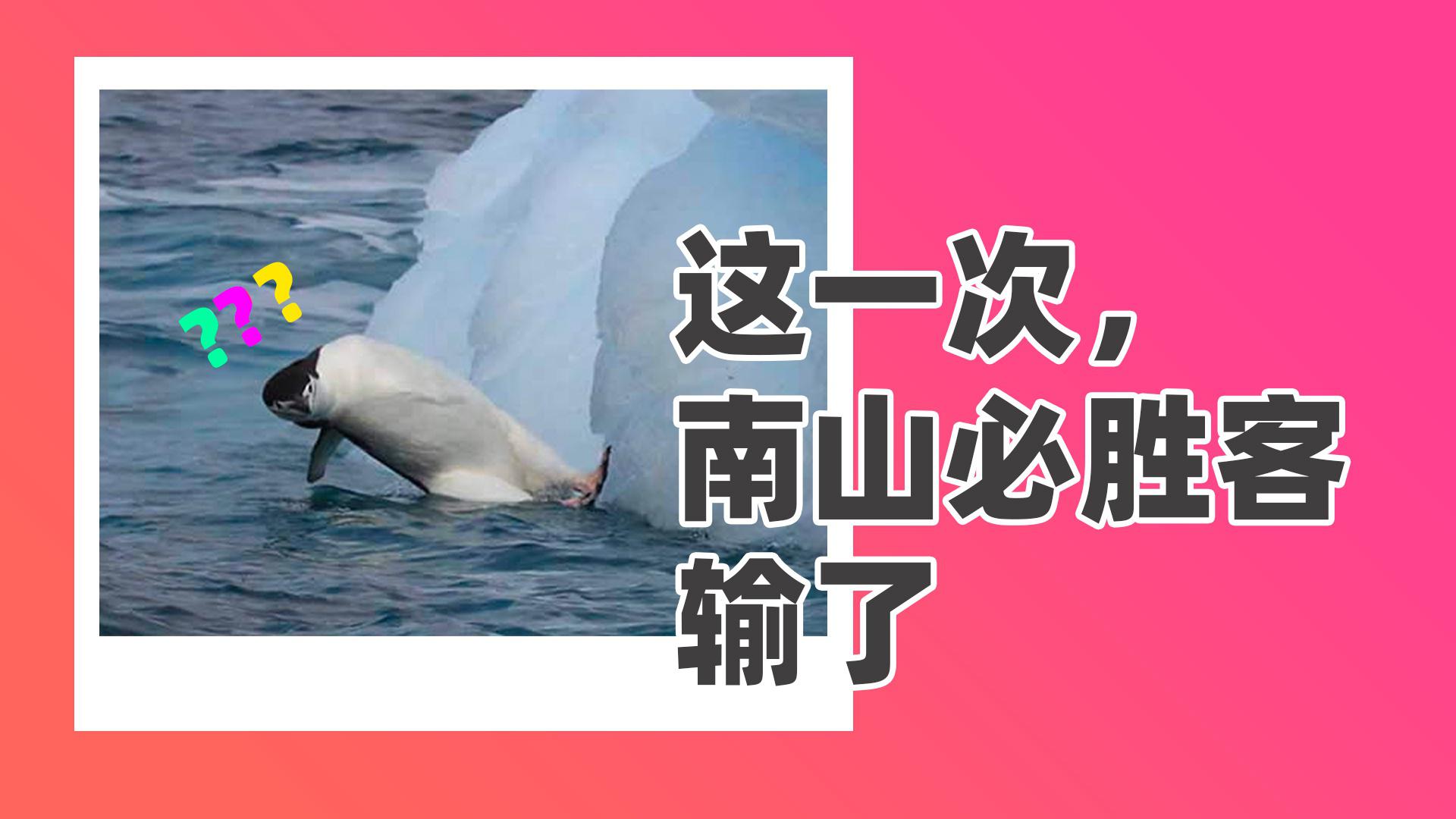 qq商标争夺战:南山必胜客怎么输的?