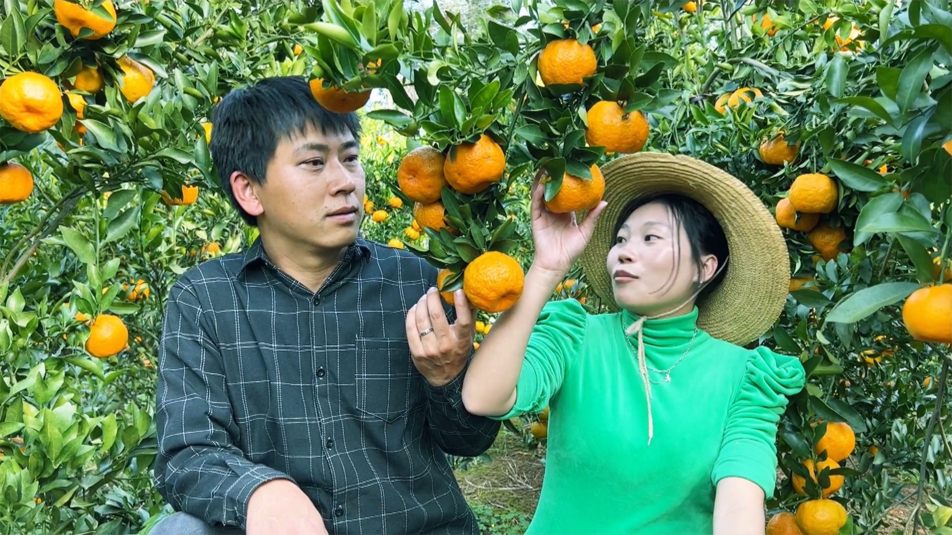 弟弟打工不在家哥哥和弟媳去摘橘子看看在果園發現啥