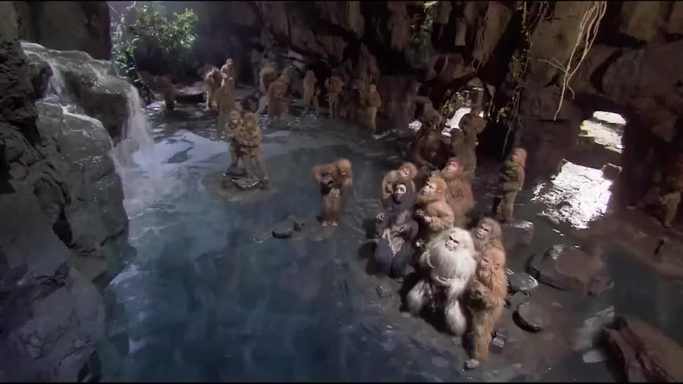 石猴奋力一跃,为众猴子找到了一个洞天福地,众猴子拜他为猴王