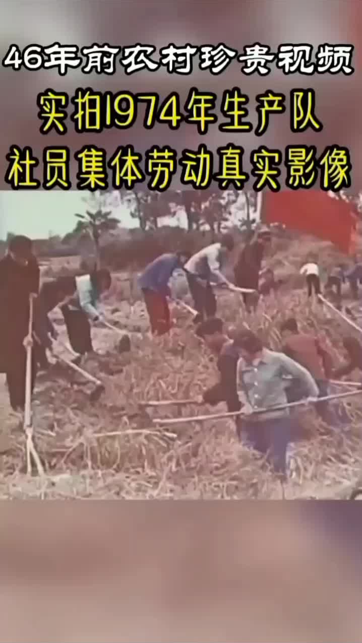 六十年代生产队集体劳动场景,父辈们经历过