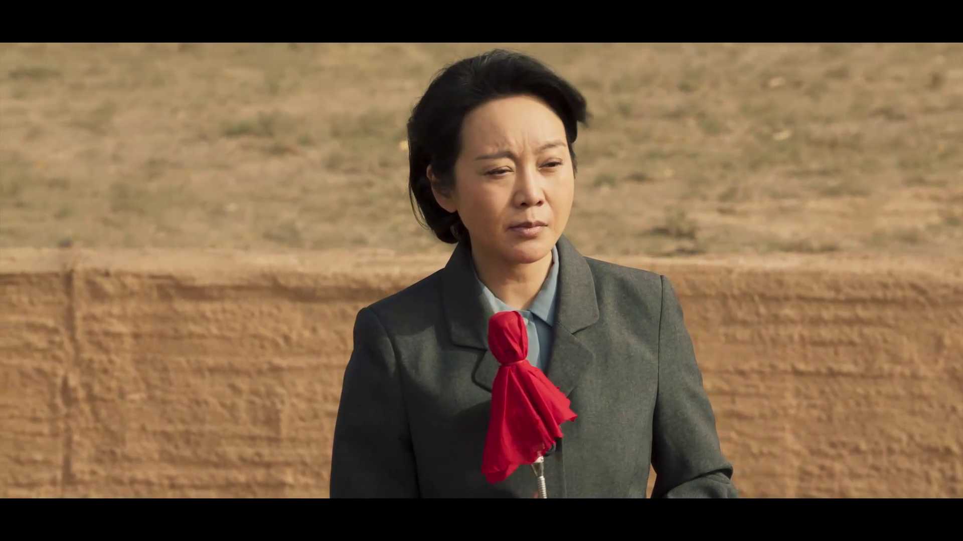 电视剧山海情 杨书记发话了!一定帮助大家把菇卖出去!