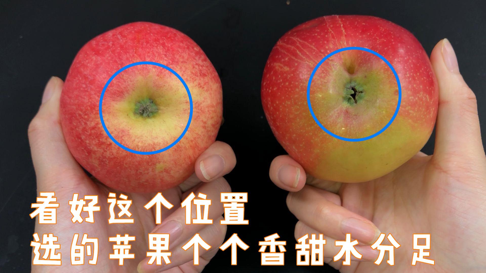 买苹果,一定要分清公母,记住这个小技巧,一挑一个准又脆又甜
