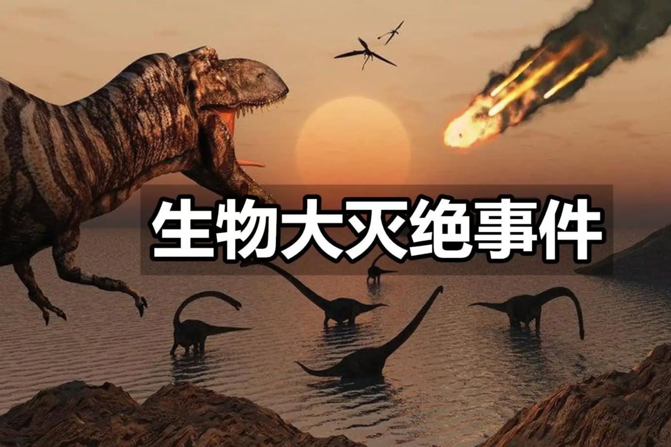 地球正在经历第六次生物大灭绝人类能否顺利躲避灭绝灾难