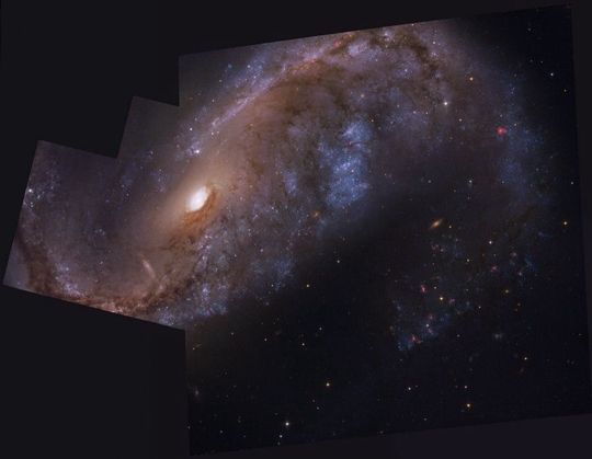 飞鱼座的星系NGC 2442