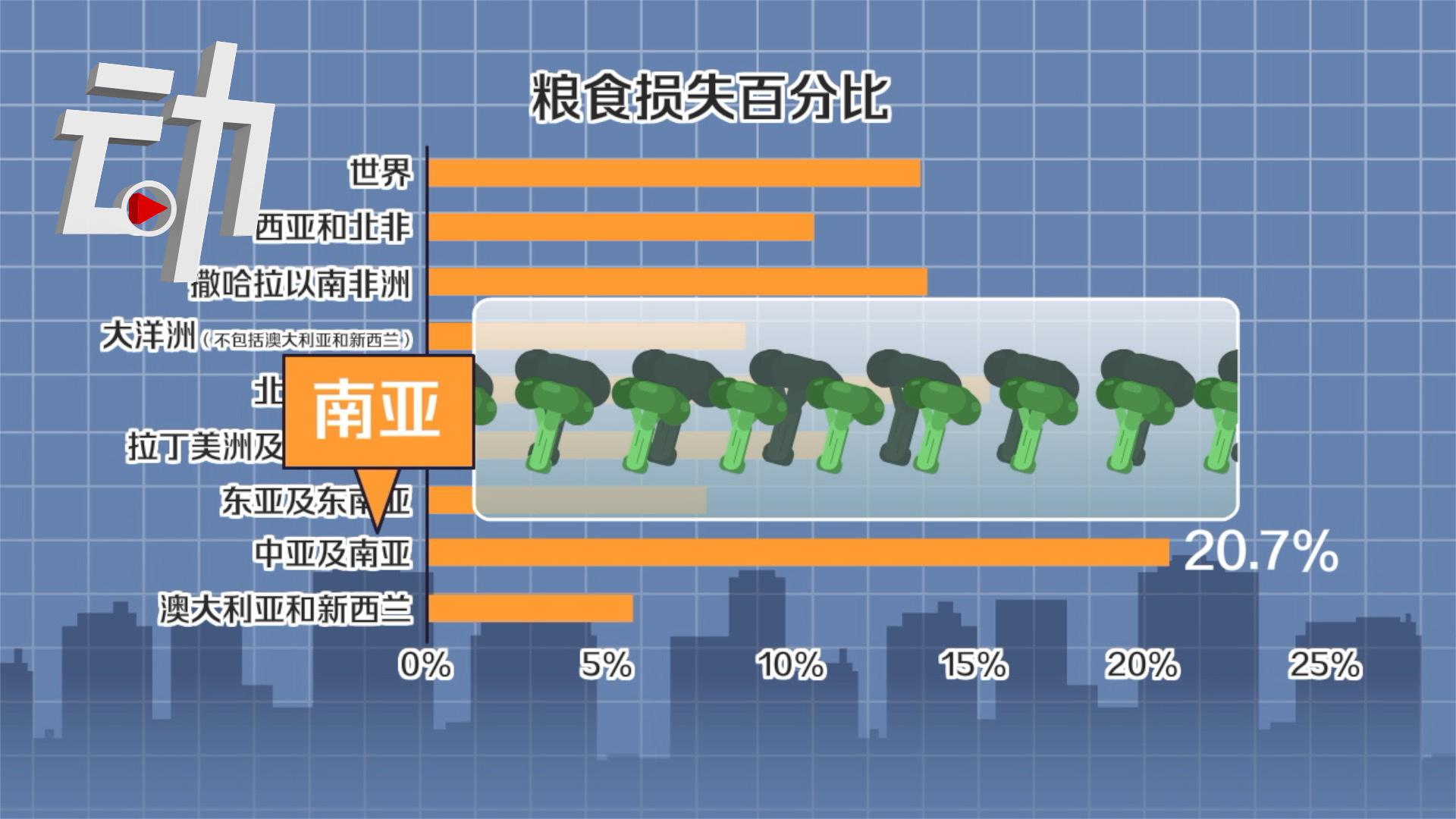 全球每年13亿吨粮食被浪费:各国如何节约粮食?
