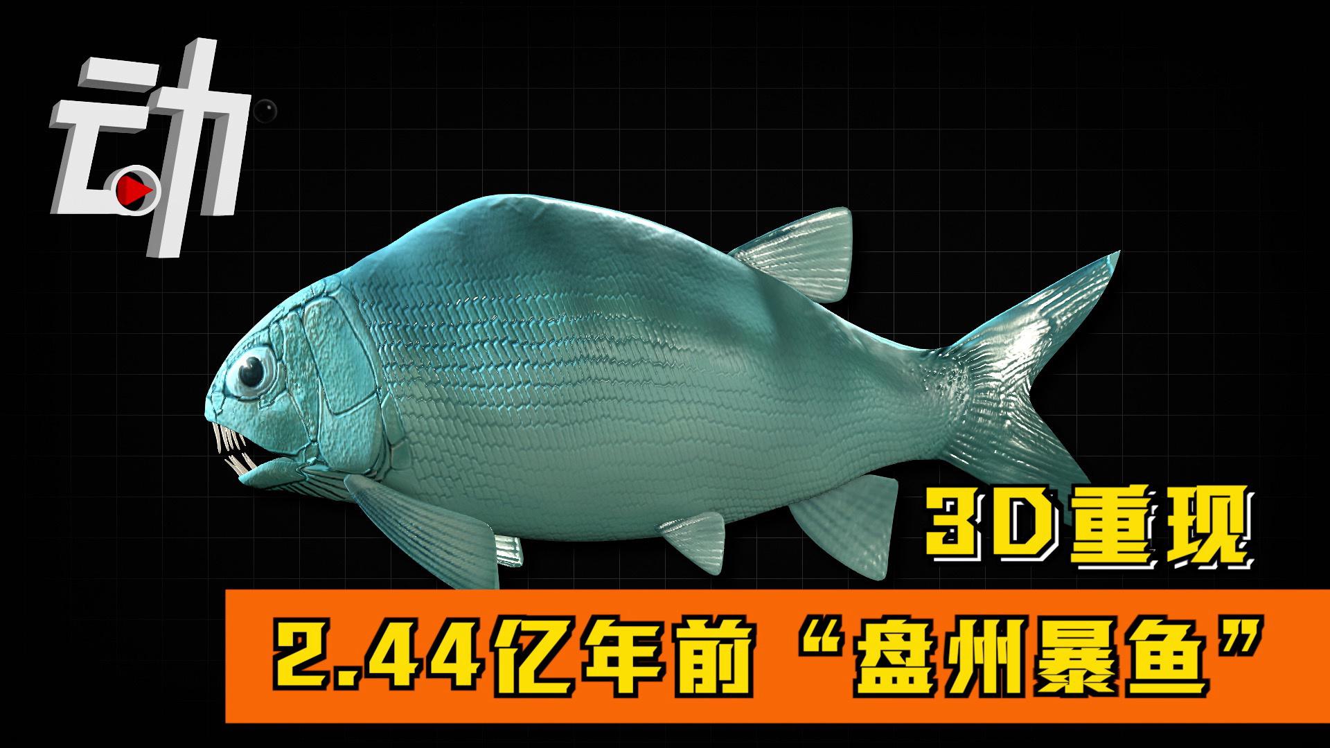 44亿年前"盘州暴鱼":体长26厘米 驼背龅牙爱吃肉