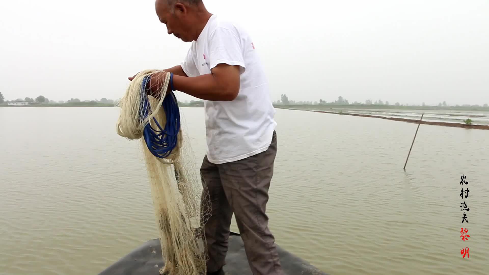 跟老舅开船打鱼,第一网上大鲤鱼,听说鱼群成堆,大哥飞速赶往!