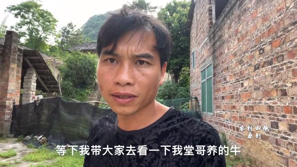 40岁农村小伙返乡创业养牛,一口气花了4万买黄牛,听炮哥咋说