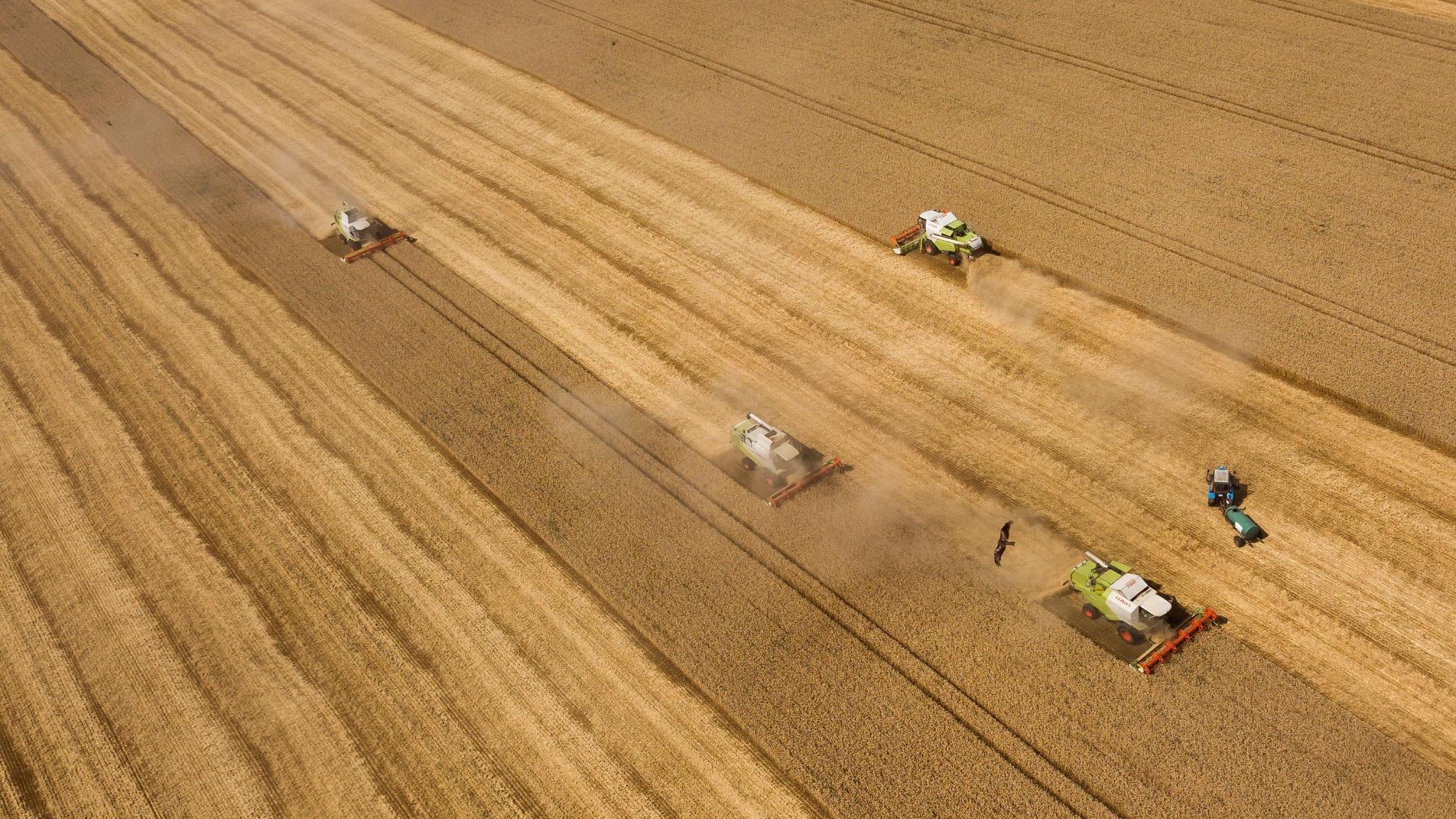 拥有世界上三大黑土地之一的乌克兰即将错过春耕时机