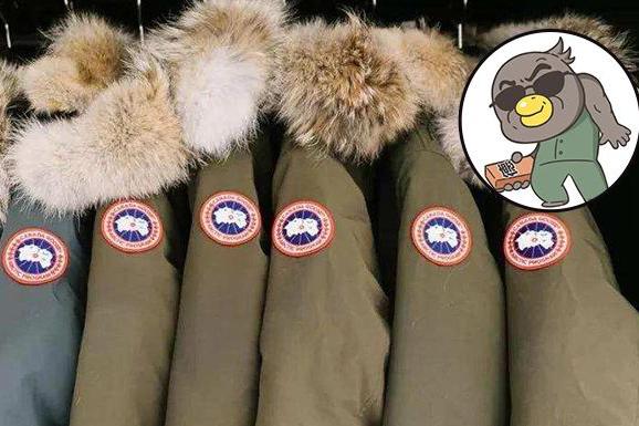 全球羽绒服鄙视链里,国产羽绒服在第几层?