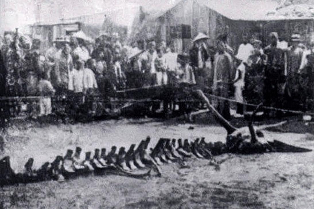 Sự thật việc chân long giáng thế ở Liêu Ninh năm 1934