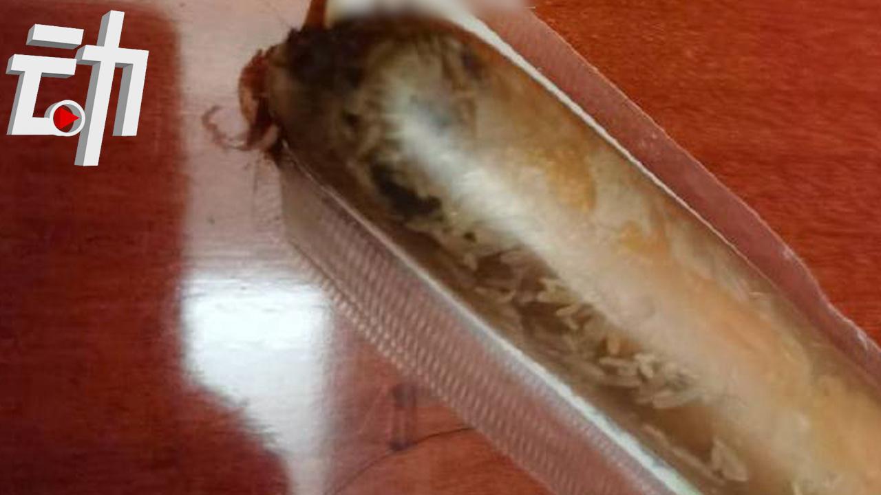 良品铺子回应产品现蛆虫:有合格报告 希望将争议产品送检