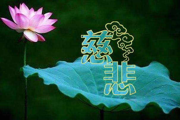 丢掉面子,大胆去劝阻人们放下屠刀吧|杀生|鱼|寺庙|福地|佛堂_新浪新闻