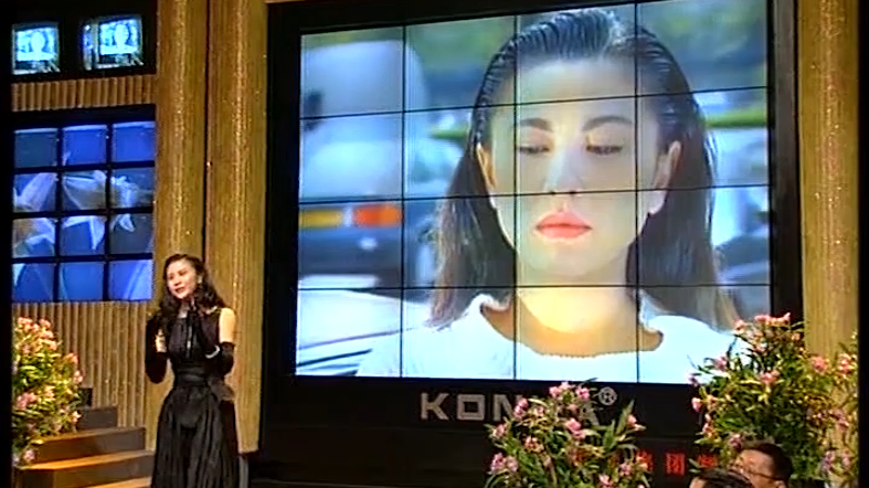 1993央视春晚:梁雁翎声线细腻,动情演唱《像雾像雨又像风》