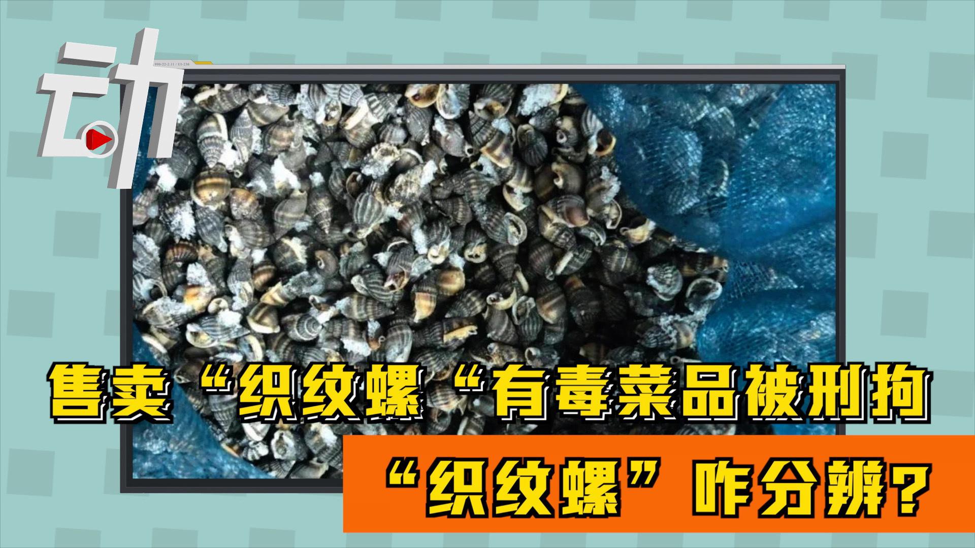 店家明知织纹螺有毒还做菜售卖获刑织纹螺如何分辨