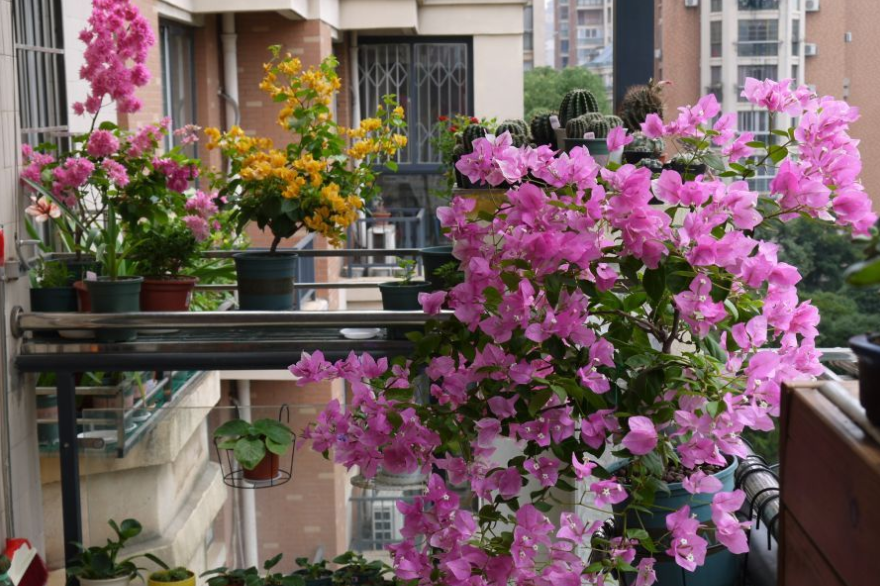 港澳四月份旅游穿衣指南 四月份香港展会购物攻略