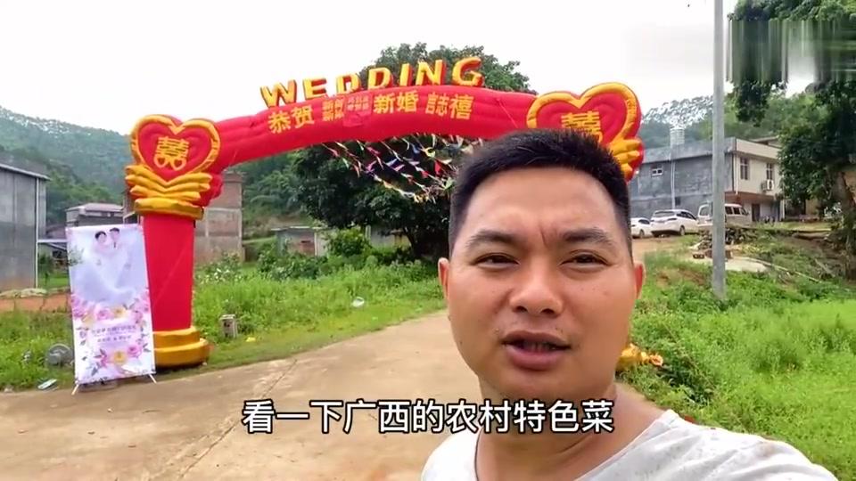 农村小遥帮二嫂家桃子套袋,十多人每人工钱180,挣钱真不容易