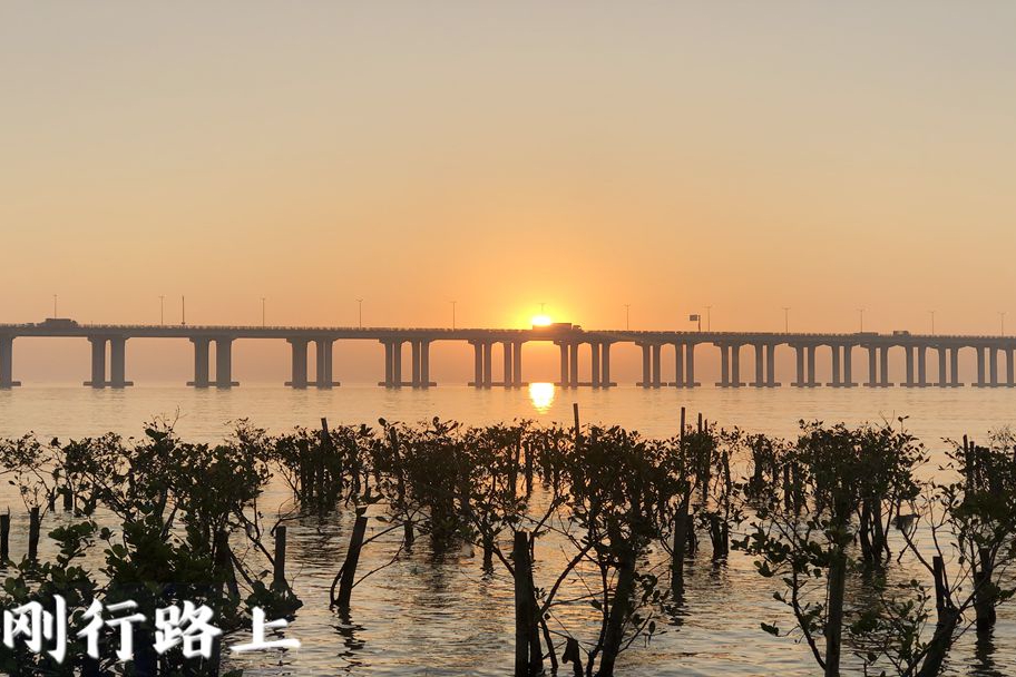 防城港有租的电动车吗