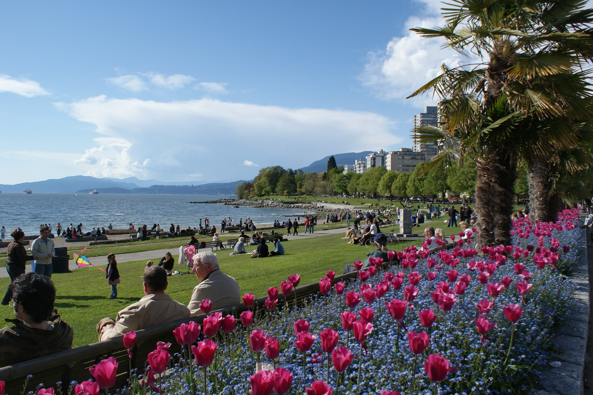 加拿大 温哥华 耶鲁镇