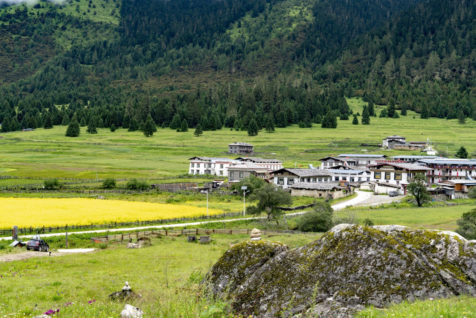 西藏自治区 林芝市 鲁朗花海牧场