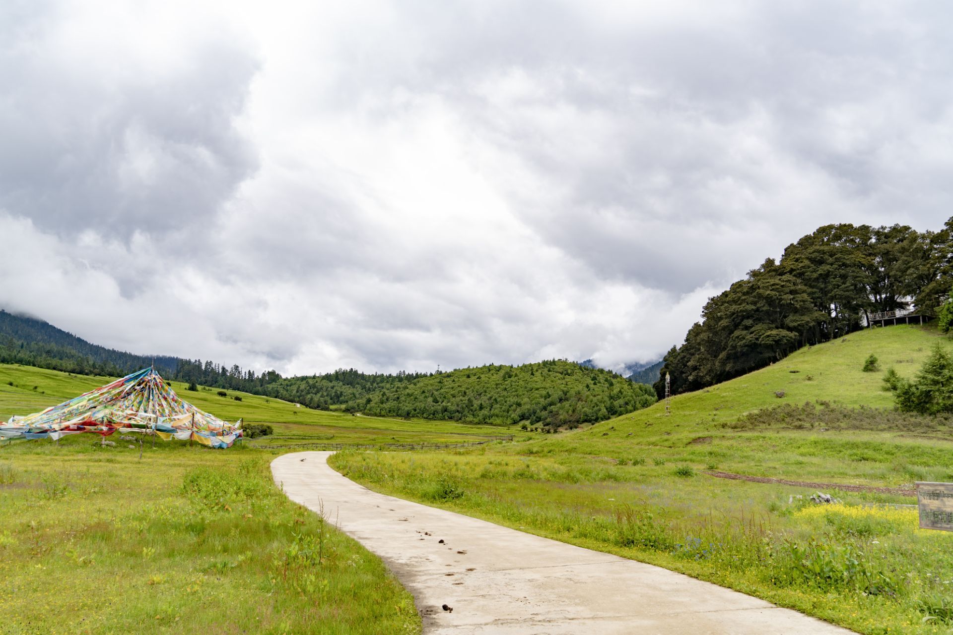 西藏自治区林芝市鲁朗花海牧场