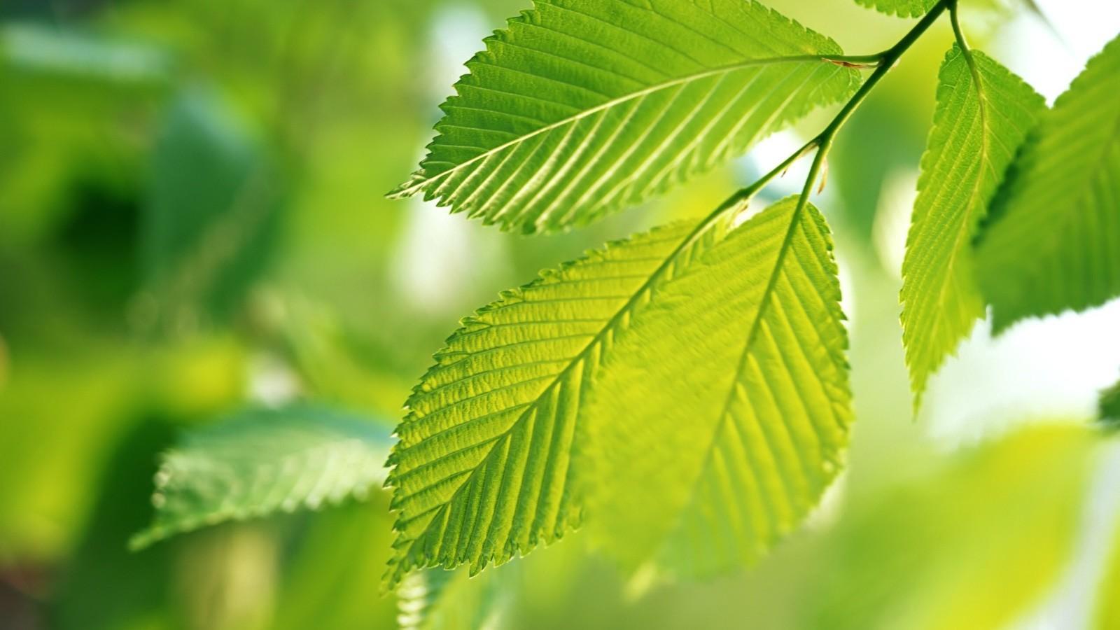 变心可能性不高的星座一根筋用情专一