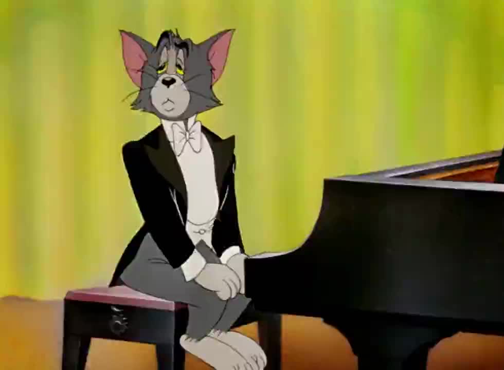 猫和老鼠弹钢琴图片