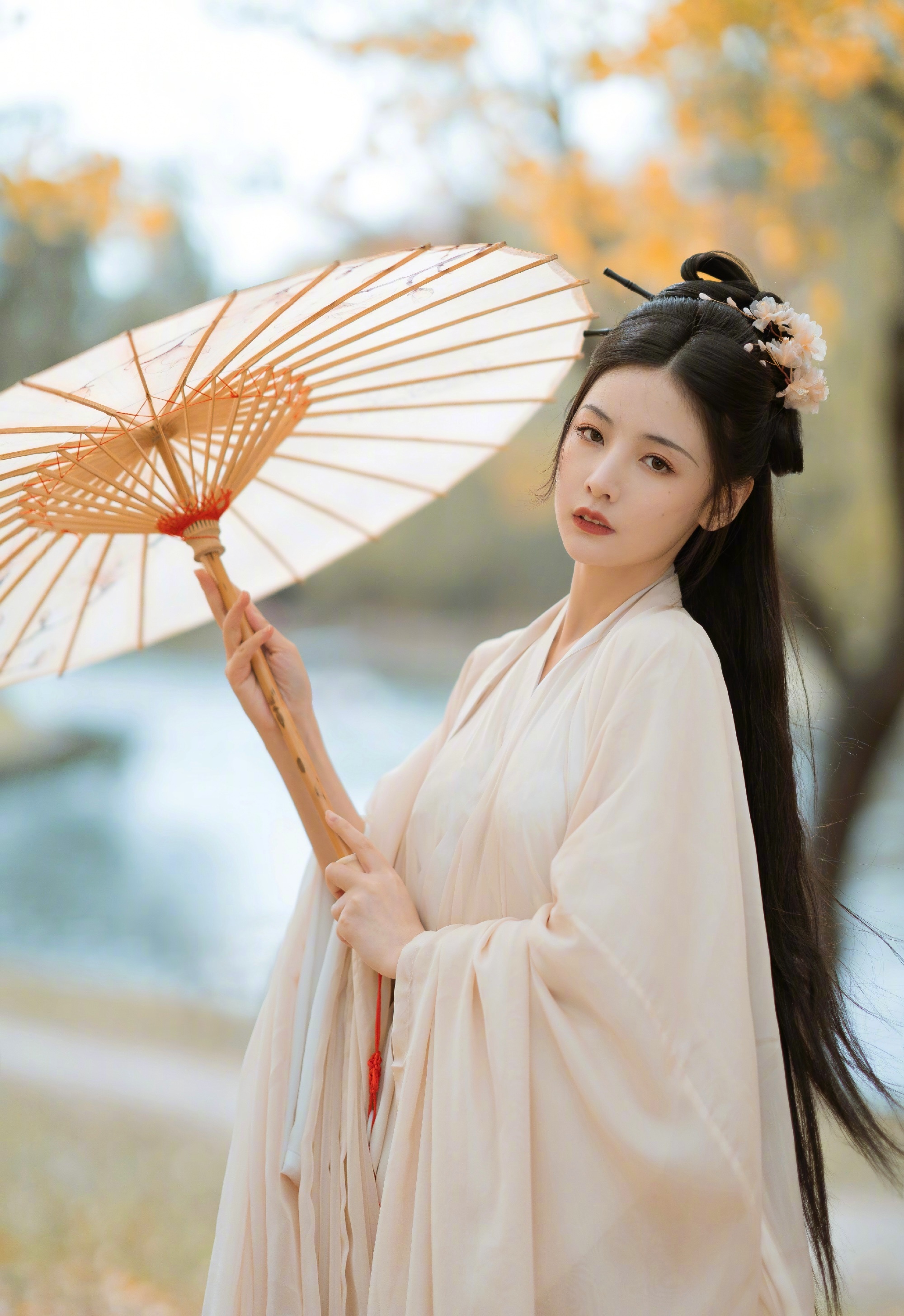 赵粤秋日银杏古风大片清冷系古风美人展现柔美气质